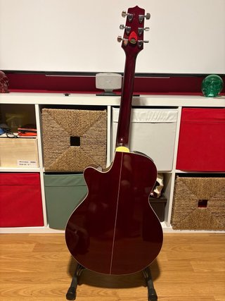 Guitarra Electroacústica Takamine G Series