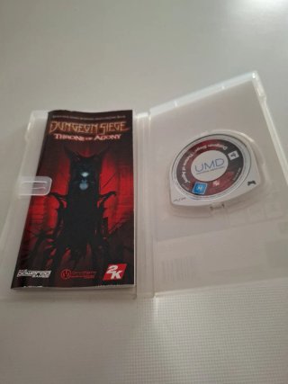 Dungeon Siege: Throne of Agony PSP