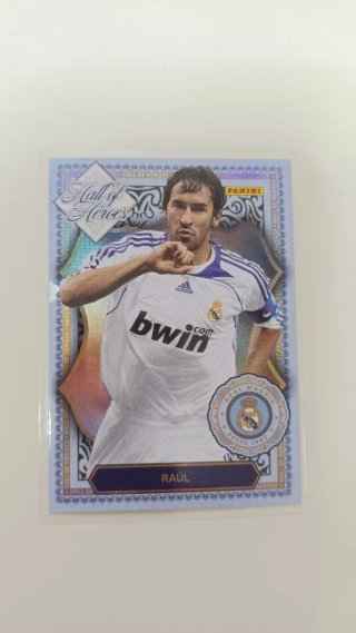 Panini Club Real Madrid Cromos