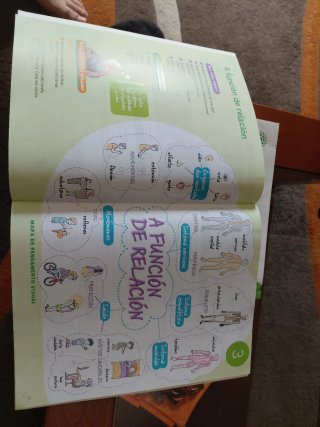 Ciencias da naturaleza, 6 Primaria, Proxecto Co...