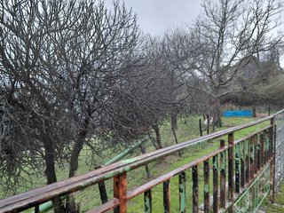 pabellon para ganado