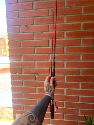 Caña de pescar TORO Technolight 2.10m