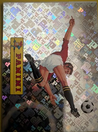 Cromo Mundial Panini