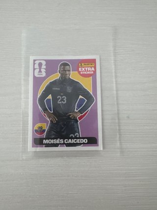 Cromo Panini Extra FIFA Moisés Caicedo