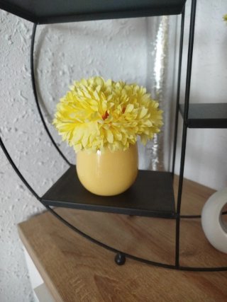 Estantería Decorativa Círculo con Adornos