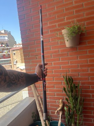 Caña de pescar coup 6m