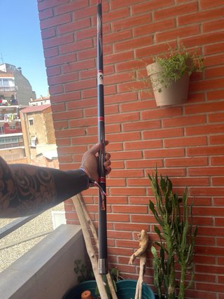Caña de pescar coup 6m