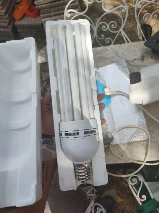 Reflector para cultivo interior y bombilla