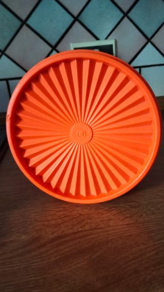 Contenitore Arancione con Fiore Bianco