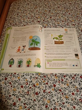 Libros SM edición Revuela 3° Primaria.