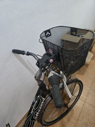Bicicleta de adulto con cesta