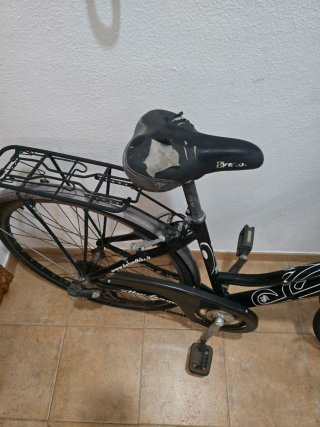 Bicicleta de adulto con cesta