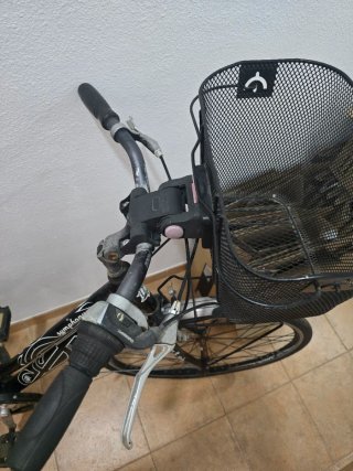 Bicicleta de adulto con cesta