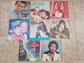 Vinilos variados: Bertin Osborne, Nikka Costa, etc