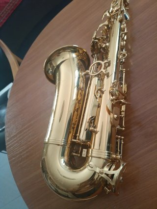 Saxo Alto Thomann Startone SA-75 Dorado