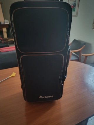 Saxo Alto Thomann Startone SA-75 Dorado