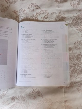 Puntal 4. Llengua catalana i Literatura 4 ESO
