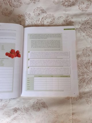 Puntal 4. Llengua catalana i Literatura 4 ESO