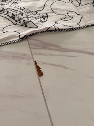 Mesa y 4 sillas
