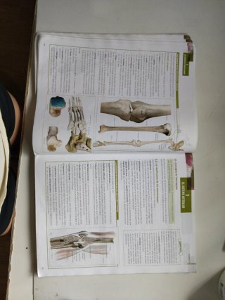 Anatomía aplicada, 1 Bachillerato
