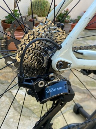 Bianchi Sprint 2025