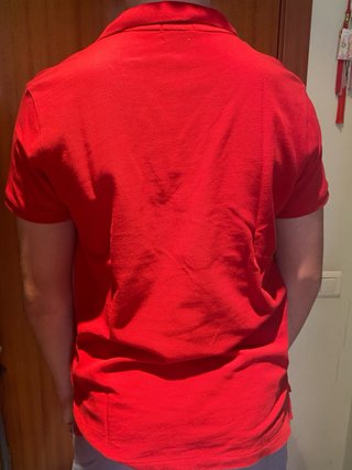 Polos Ralph Lauren Talla L (18-20) PRECIO UNIDAD.