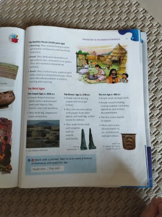Social Science, 4 Primary, Outside the Box, ByMe