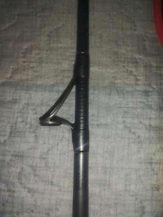 Cañas de pescar y carretes Daiwa