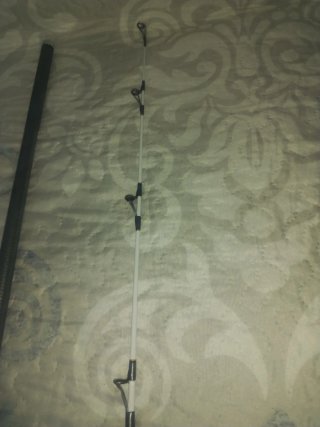 Cañas de pescar y carretes Daiwa