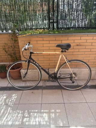 Bicicleta G.A.C. Fase Clásica 10V