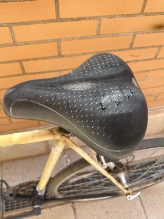 Bicicleta G.A.C. Fase Clásica 10V