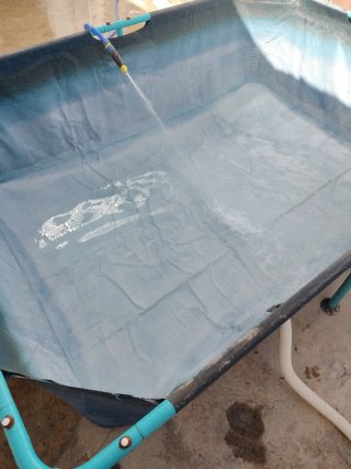 Piscina desmontable Wesday azul/verde