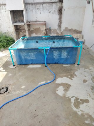 Piscina desmontable Wesday azul/verde