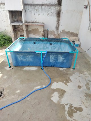 Piscina desmontable Wesday azul/verde