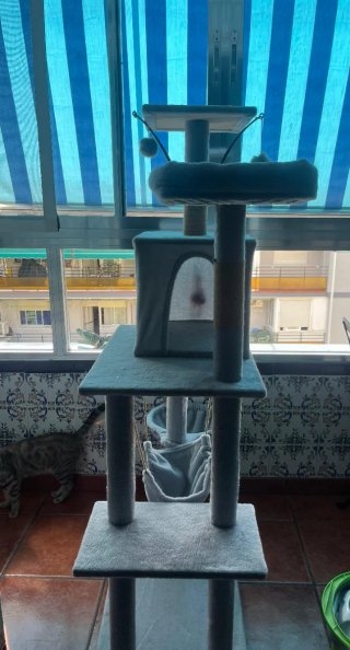 Torre rascador para gatos