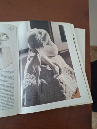 Història de l'art català VI-VII