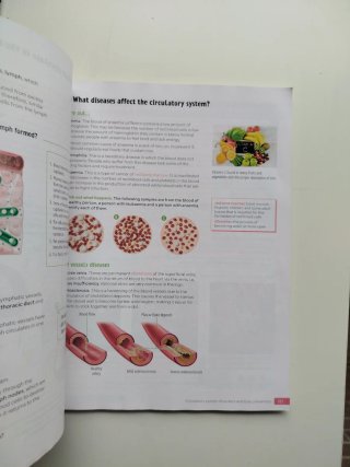 Biology and Geology. 3 Secondary. Revuela