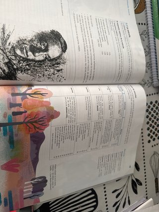 Libros de lengua 1,2,3 trimestre de 2 eso