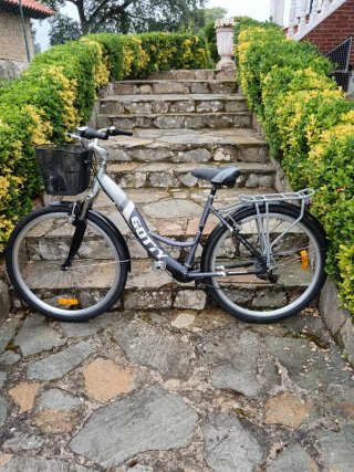 Bicicleta de paseo Gotty