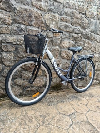 Bicicleta de paseo Gotty