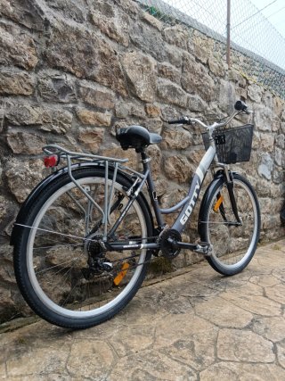 Bicicleta de paseo Gotty