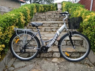 Bicicleta de paseo Gotty