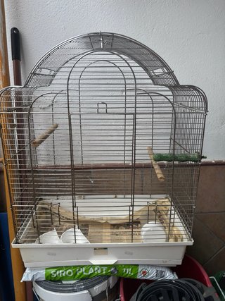 Jaula para periquitos, agapornis, loros