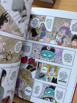 Bola de Drac: Vol. 2, 13 i 22
