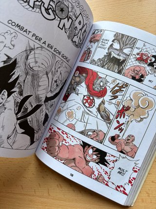 Bola de Drac: Vol. 2, 13 i 22