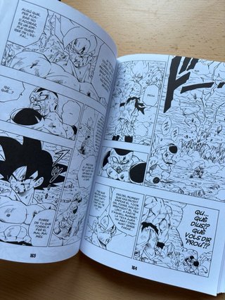 Bola de Drac: Vol. 2, 13 i 22