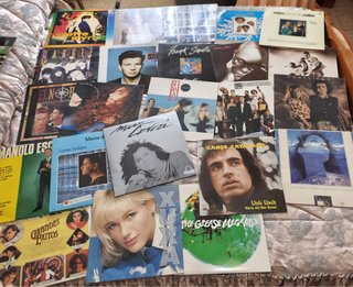 Lote Vinilos Varios Géneros