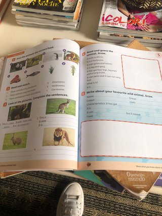 Libros ingles 3 primaria  total 3