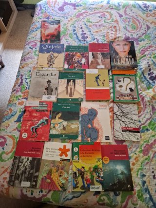 Libros infantiles- juveniles. LOTE 5