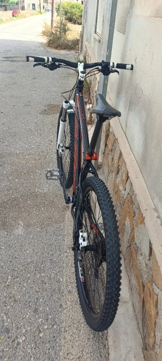 Bicicleta de montaña